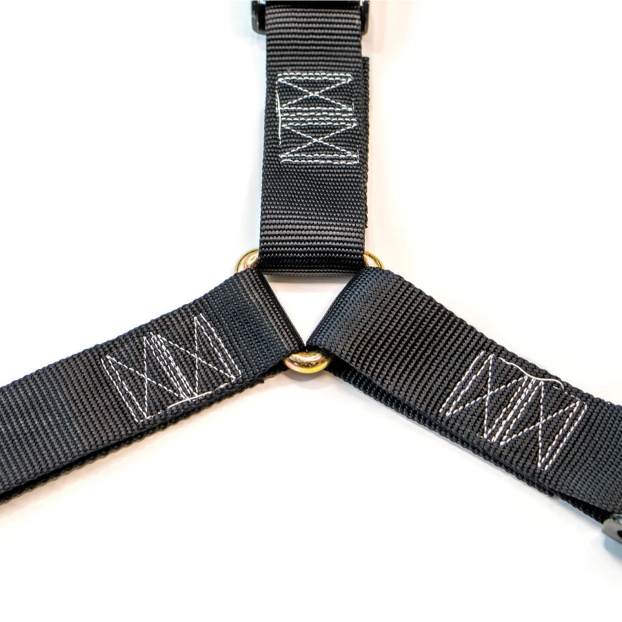 Correa en Y de 3 puntos para rueda de repuesto 38 mm con ganchos garra y anilla D flotante